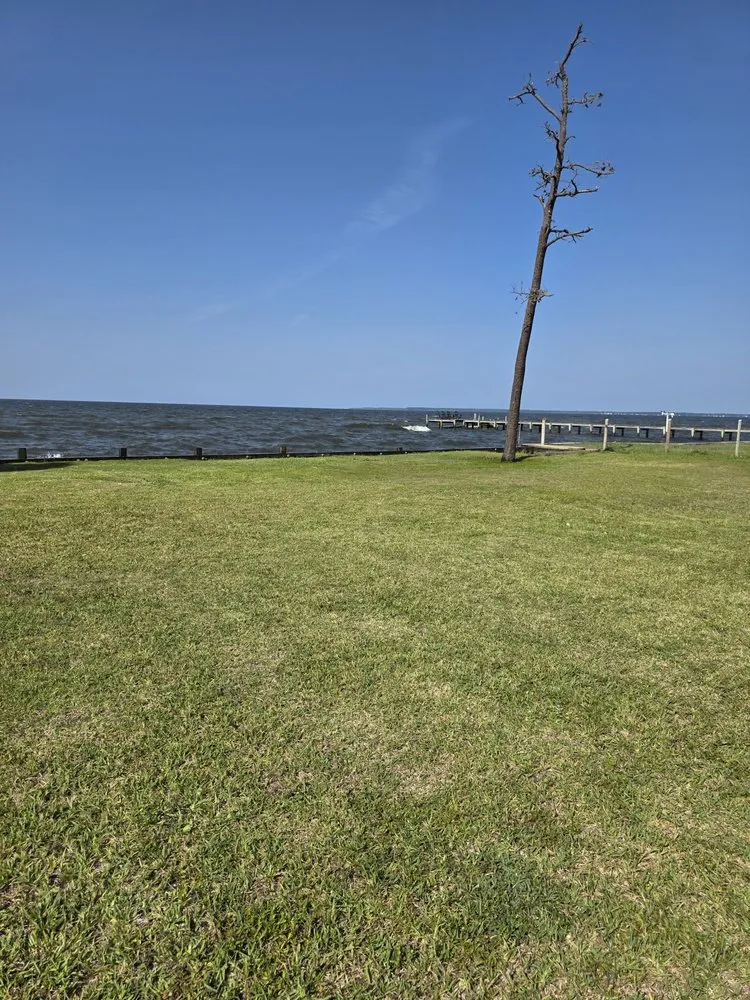 Professional landscape design for homes in Edenton, NC by Fox's lawn