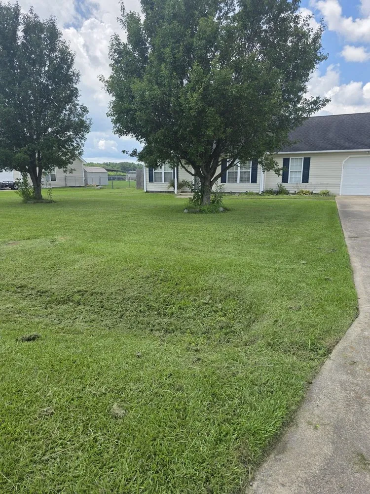 Affordable landscape design for year-round maintenance in Edenton, NC by Fox's lawn