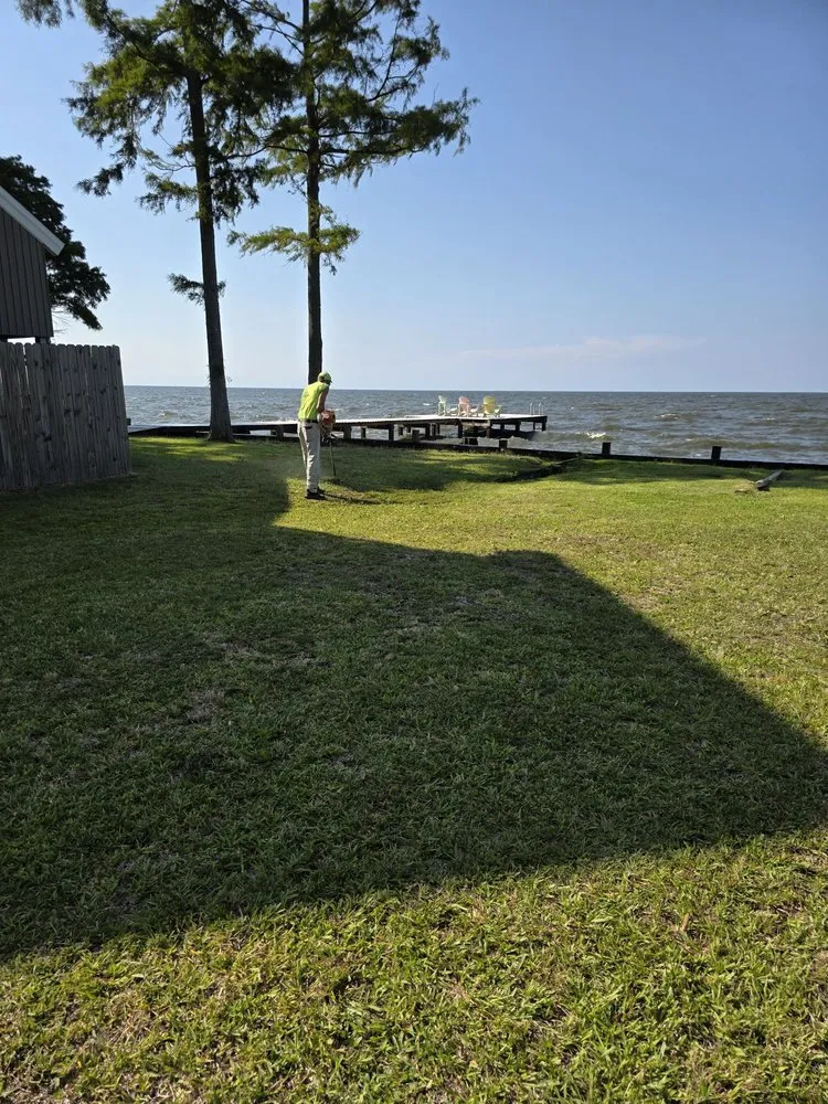 Affordable yard cleanup service for year-round maintenance in Edenton, NC by Fox's lawn