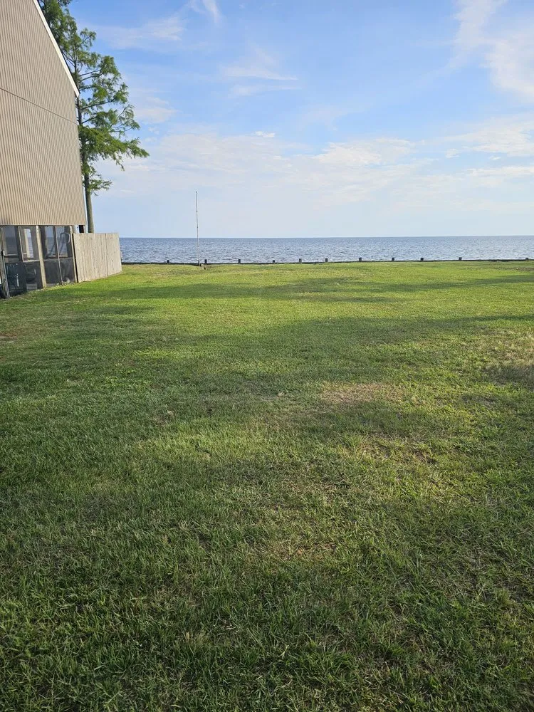 Top-rated lawn care service for residential properties in Edenton, NC by Fox's lawn