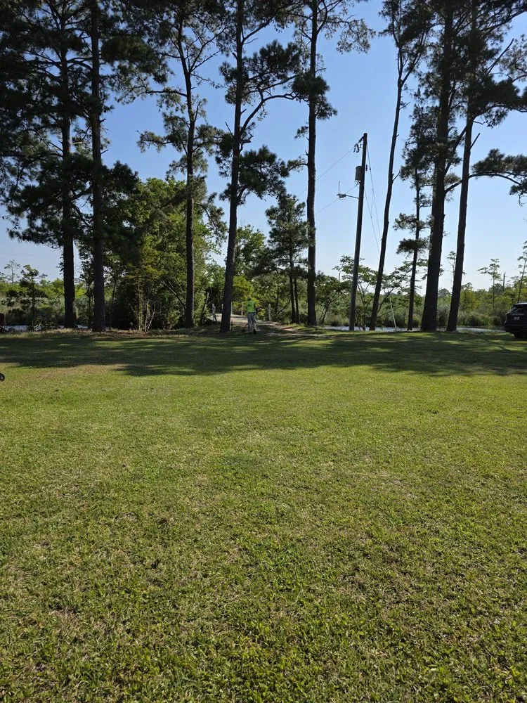 Expert yard cleanup service for year-round maintenance across Edenton, NC - Fox's lawn