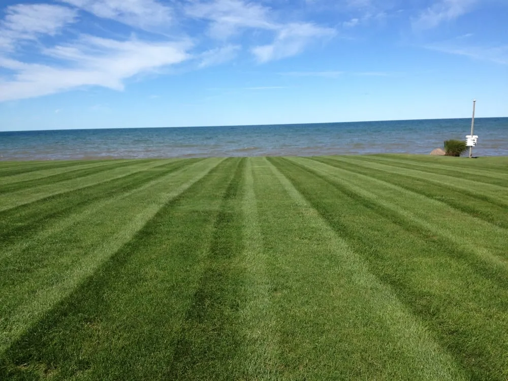 Trusted landscaping services in Webster, NY - Fox's Lawncare