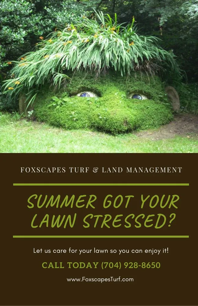 Reliable garden landscaping in Statesville, NC by Foxscapes Turf & Land Management