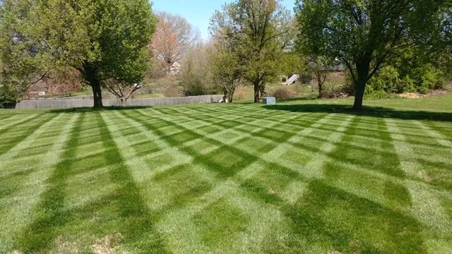 Custom landscape design in Statesville, NC - Foxscapes Turf & Land Management