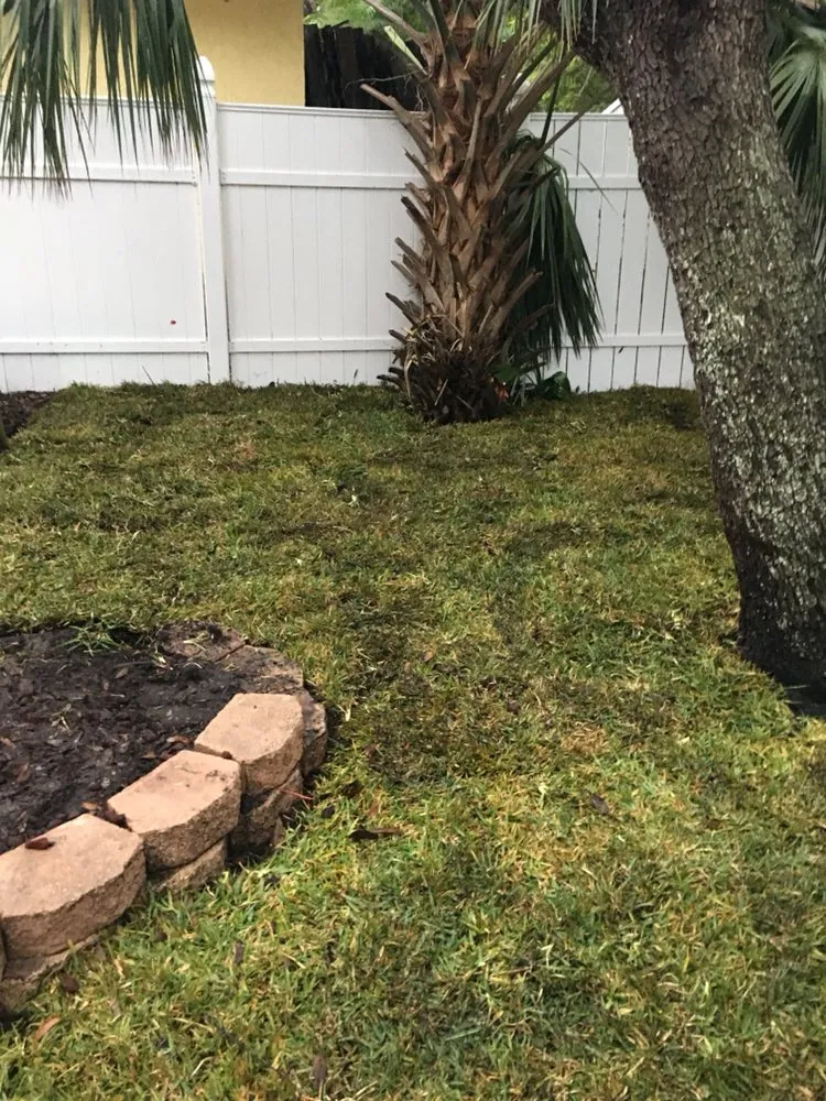 Expert lawn care service for residential properties in Neptune Beach, FL by Foxtail Fern Landscape and Design
