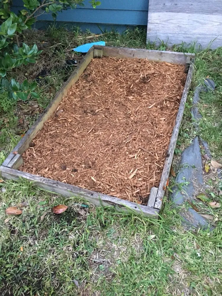 Expert lawn mowing service for outdoor upgrades in Neptune Beach, FL by Foxtail Fern Landscape and Design