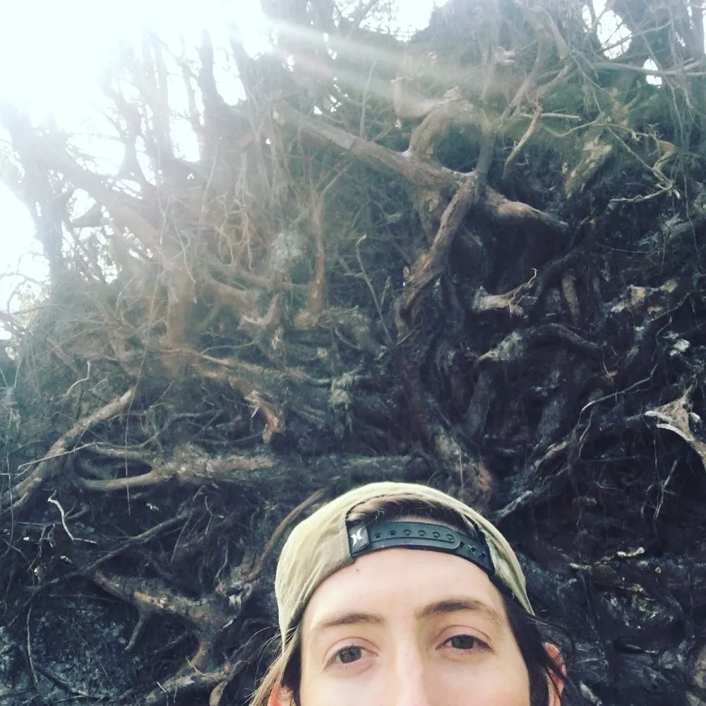 Top-rated lawn care service experts serving Neptune Beach, FL - Foxtail Fern Landscape and Design