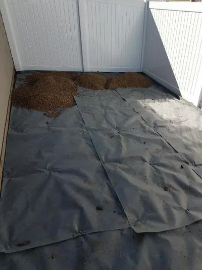 Custom landscape installation for residential properties in Fort Collins, CO by Foxtail Lawn and Landscape