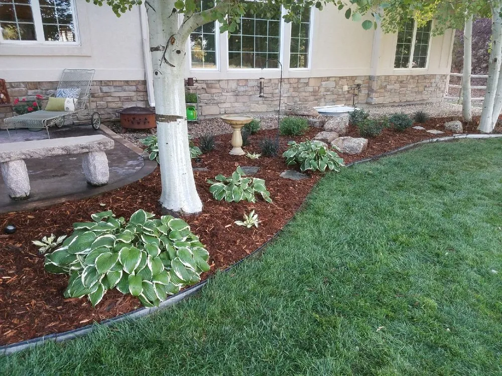 Custom lawn care service for homes in Fort Collins, CO by Foxtail Lawn and Landscape