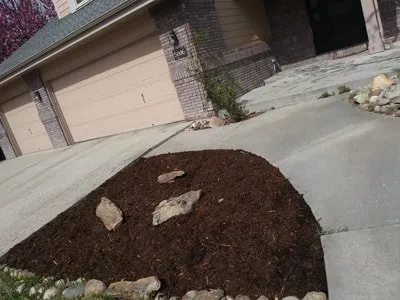 Trusted yard maintenance for homes across Fort Collins, CO - Foxtail Lawn and Landscape