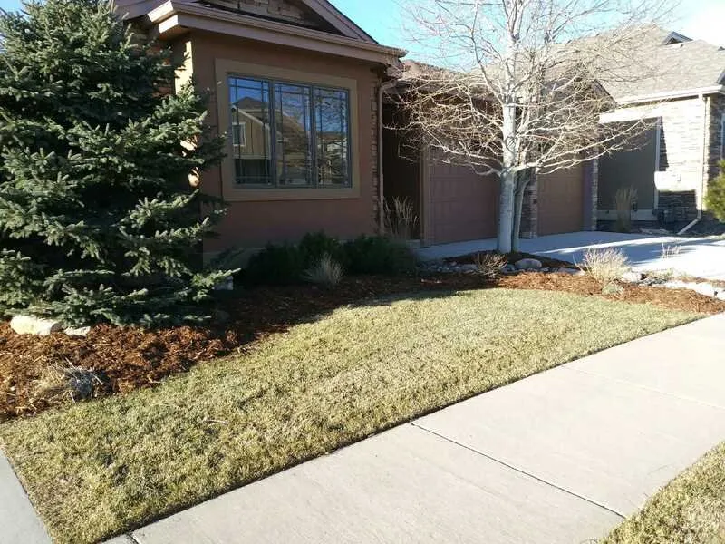 Top-rated outdoor landscaping in Fort Collins, CO by Foxtail Lawn and Landscape