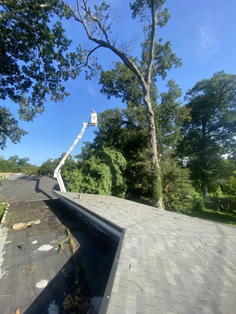 Affordable landscape installation in Monroe, LA by Foxx Tree Service