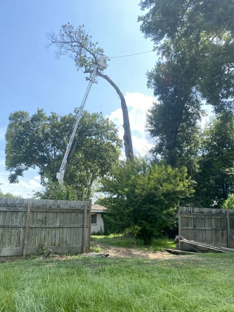 Expert yard maintenance for homes across Monroe, LA - Foxx Tree Service