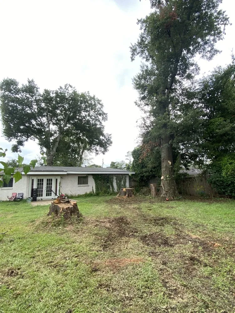 Expert yard maintenance in Monroe, LA - Foxx Tree Service