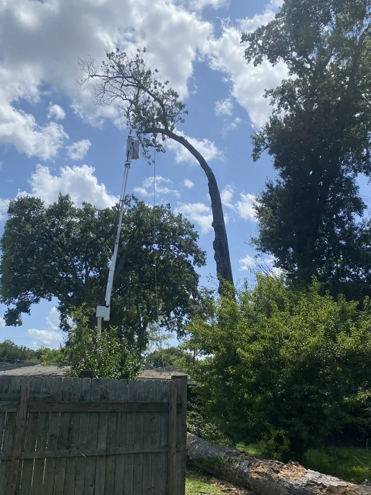 Top-rated residential landscaping experts serving Monroe, LA - Foxx Tree Service