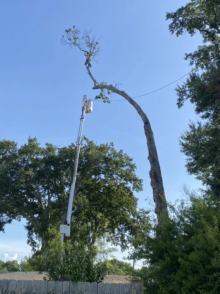 Custom outdoor landscaping for beautiful yards across Monroe, LA - Foxx Tree Service