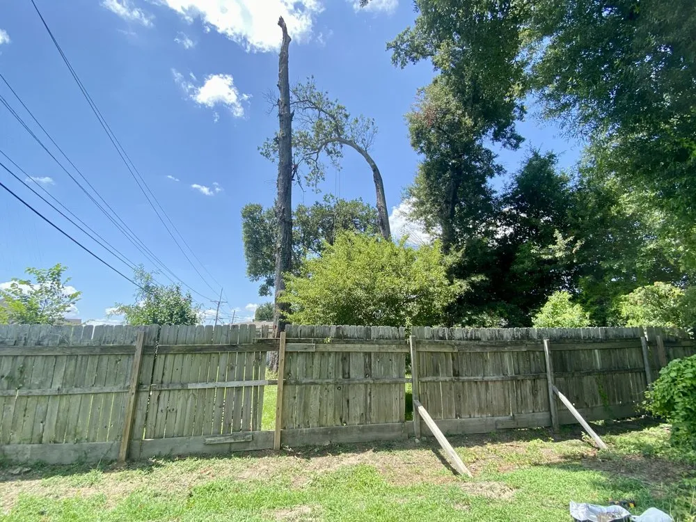 Reliable landscape design for outdoor upgrades across Monroe, LA - Foxx Tree Service