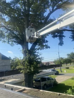 Foxx Tree Service