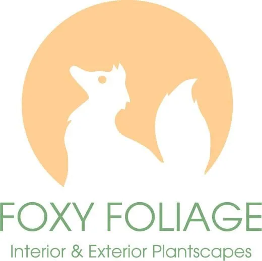Affordable landscaping services for beautiful yards across Jacksonville, FL - Foxy Foliage