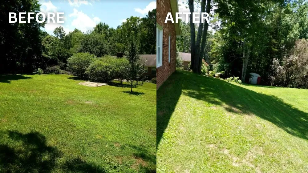 Trusted residential landscaping near you across Browns Summit, NC - Foy&3D