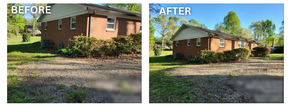 Reliable lawn mowing service experts serving Browns Summit, NC - Foy&3D