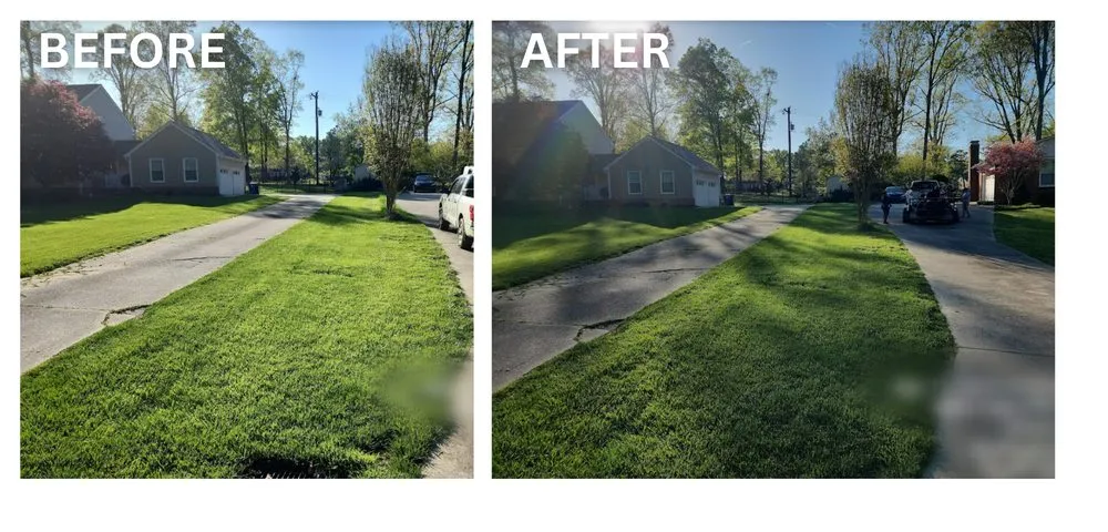 Custom yard cleanup service for year-round maintenance in Browns Summit, NC by Foy&3D