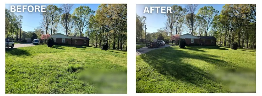 Top-rated lawn mowing service for residential properties across Browns Summit, NC - Foy&3D