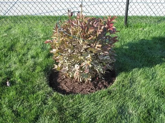 Expert landscape installation for residential properties across Danbury, CT - FP Landscaping & Masonry