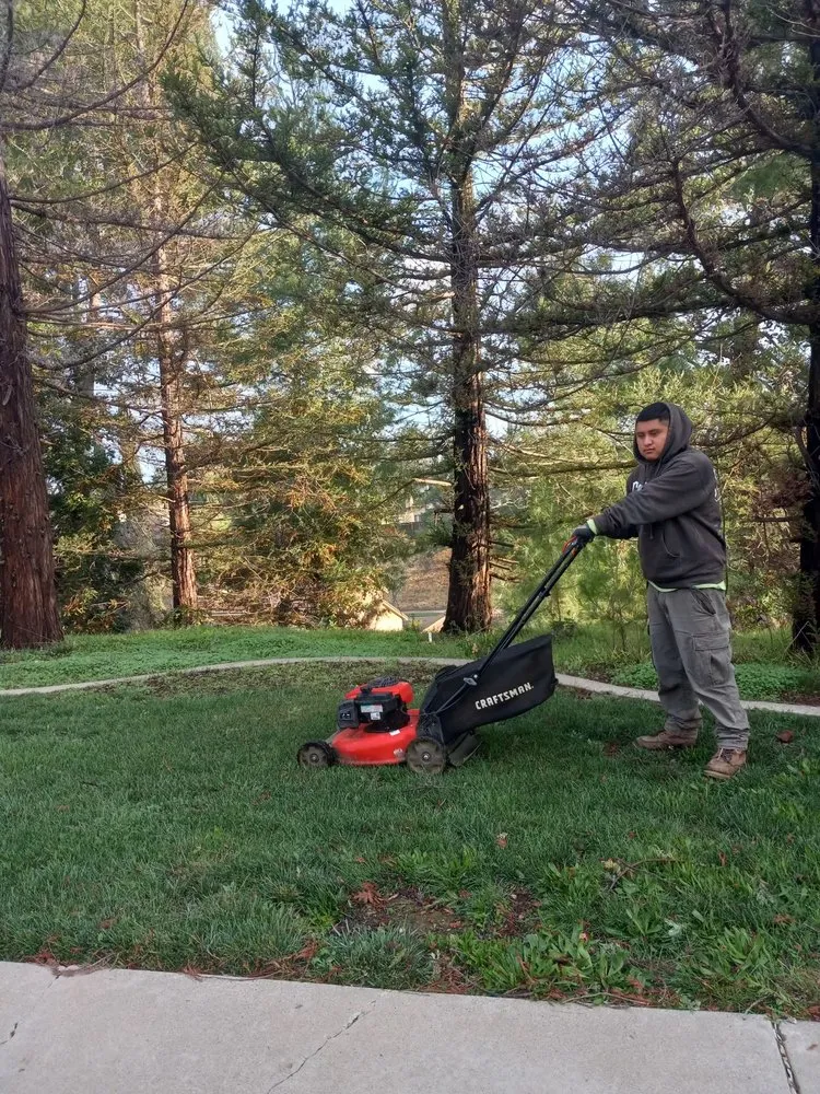 Local yard cleanup service in Stockton, CA - FP Landscaping