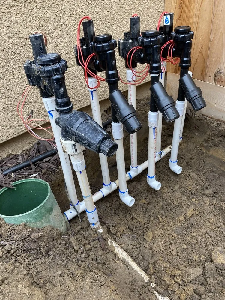 Local yard cleanup service for outdoor upgrades across Stockton, CA - FP Landscaping