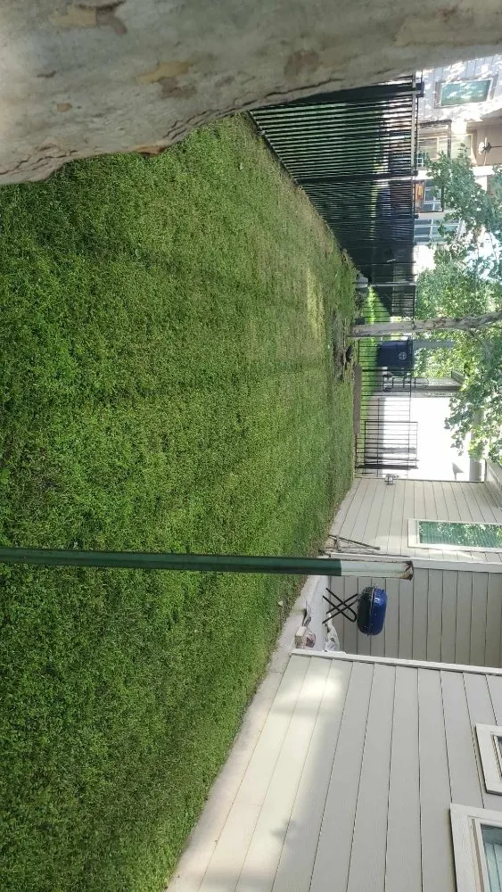 Expert lawn mowing service experts serving Elgin, TX - FP Mowing