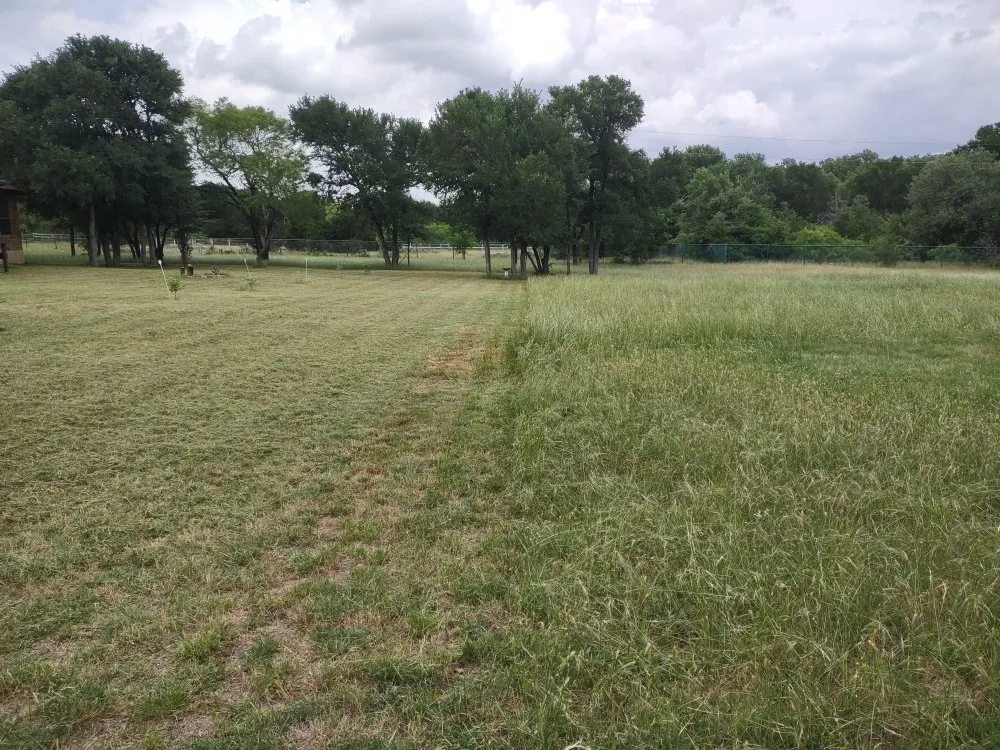 Trusted landscape design for beautiful yards in Elgin, TX by FP Mowing