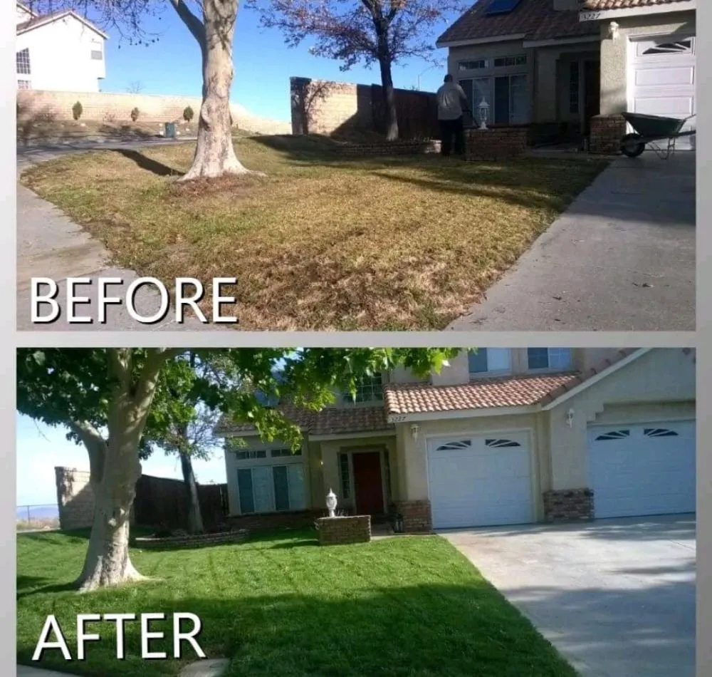 Local lawn care service experts serving Palmdale, CA - F&R Garden Services
