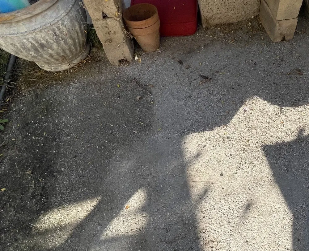 Custom lawn mowing service for residential properties across Palmdale, CA - F&R Garden Services