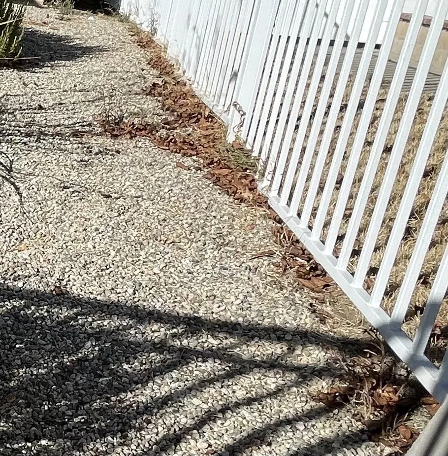 Top-rated garden landscaping in Palmdale, CA - F&R Garden Services