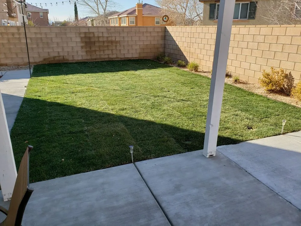 Affordable landscape installation in Palmdale, CA by F&R Garden Services