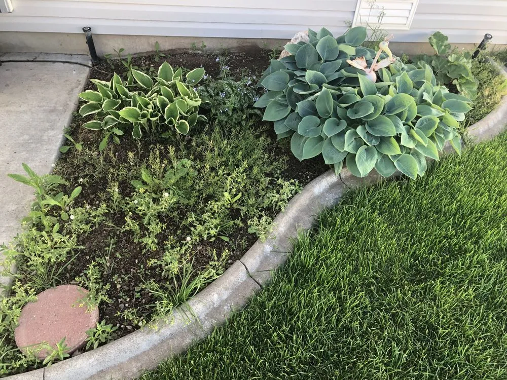 Top-rated lawn care service in Roy, UT - FRA Landscape and Concrete