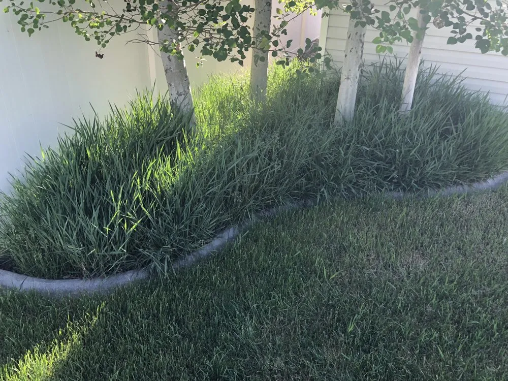 Trusted landscaping services for residential properties across Roy, UT - FRA Landscape and Concrete