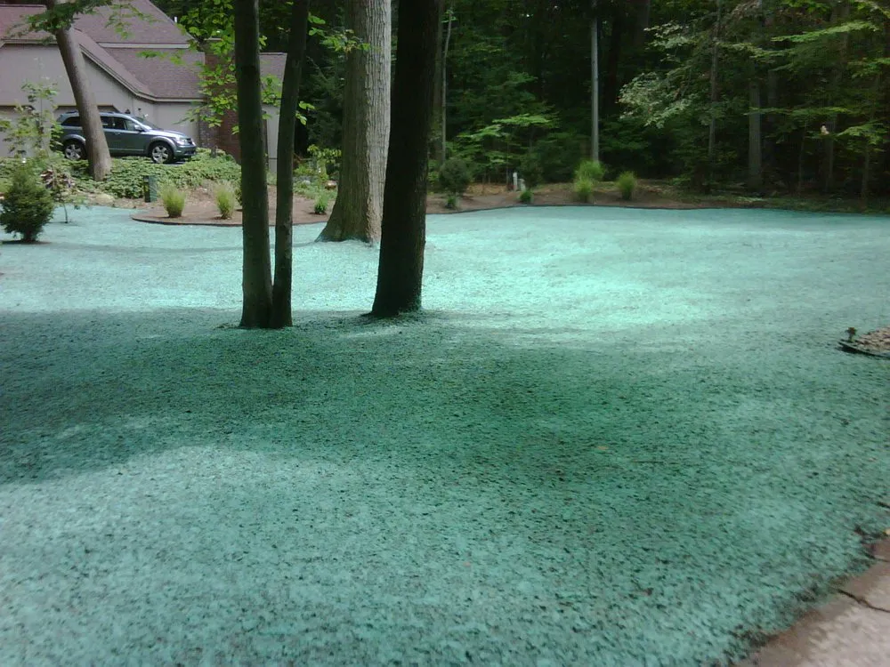 Top-rated residential landscaping for year-round maintenance across Zeeland, MI - Fraaza Enterprises