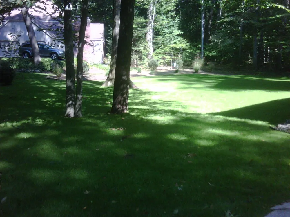 Local yard cleanup service for residential properties in Zeeland, MI by Fraaza Enterprises