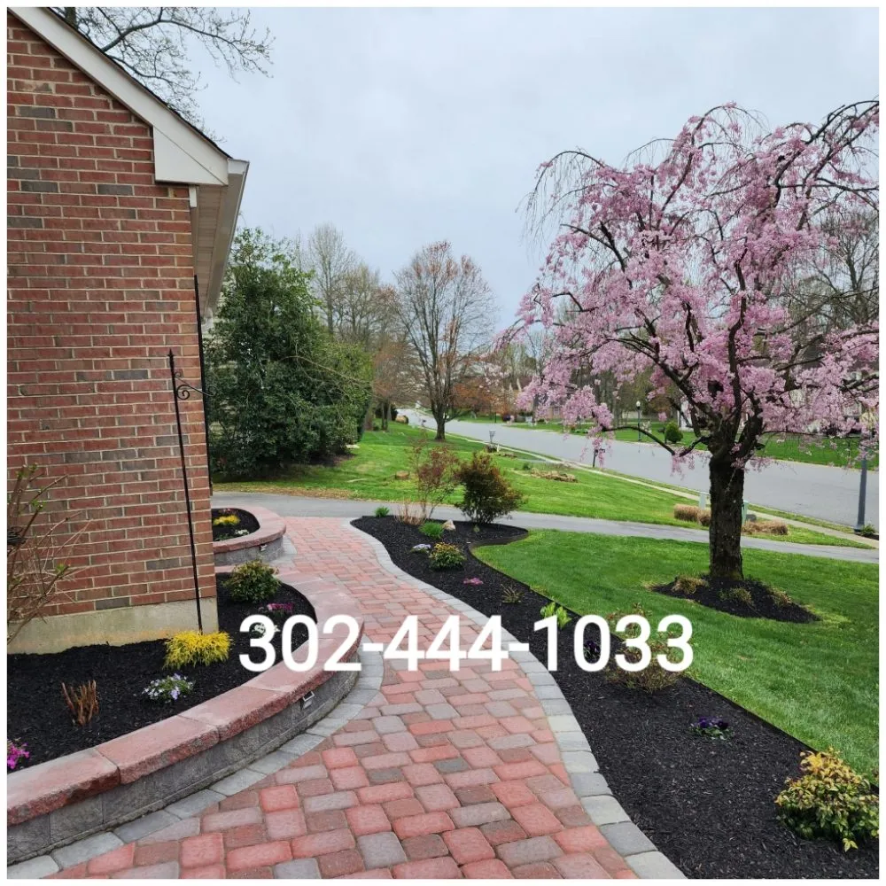 Affordable landscaping services in Newark, DE by Frada Landscaping