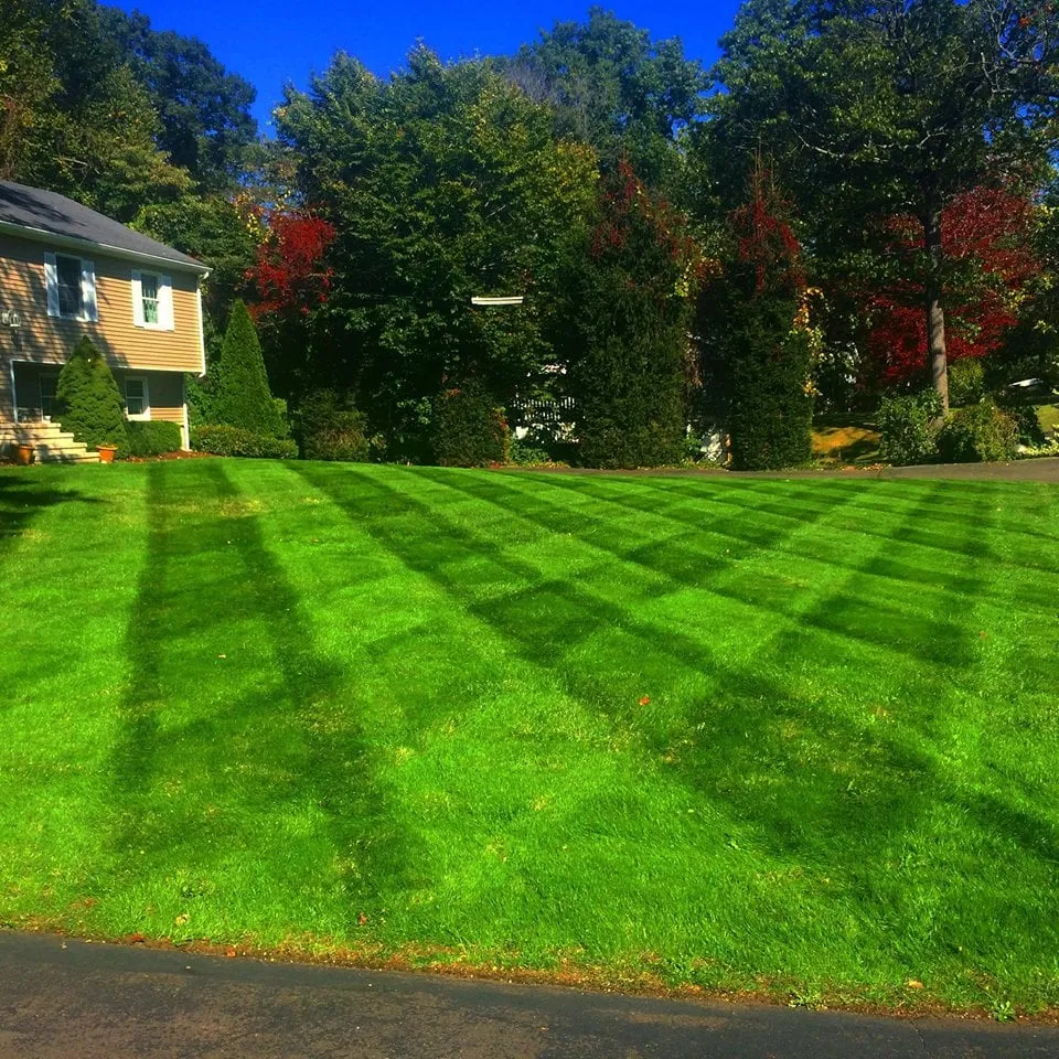 Professional yard cleanup service in East Haven, CT by Fradiani Landscaping