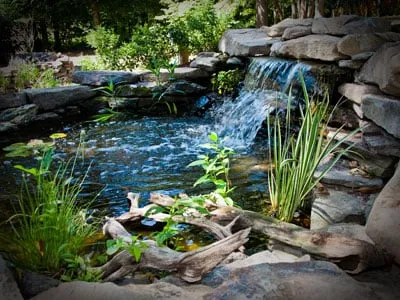 Trusted landscape installation near you across West Tisbury, MA - Fragosa Landscapes