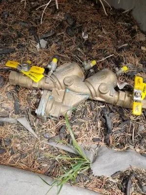 Fragoso Express Landscaping Logo