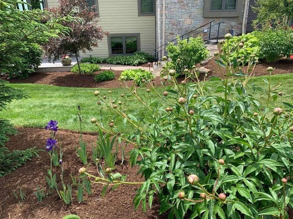 Affordable garden landscaping in Milwaukee, WI - Fraire Quinones Landscaping