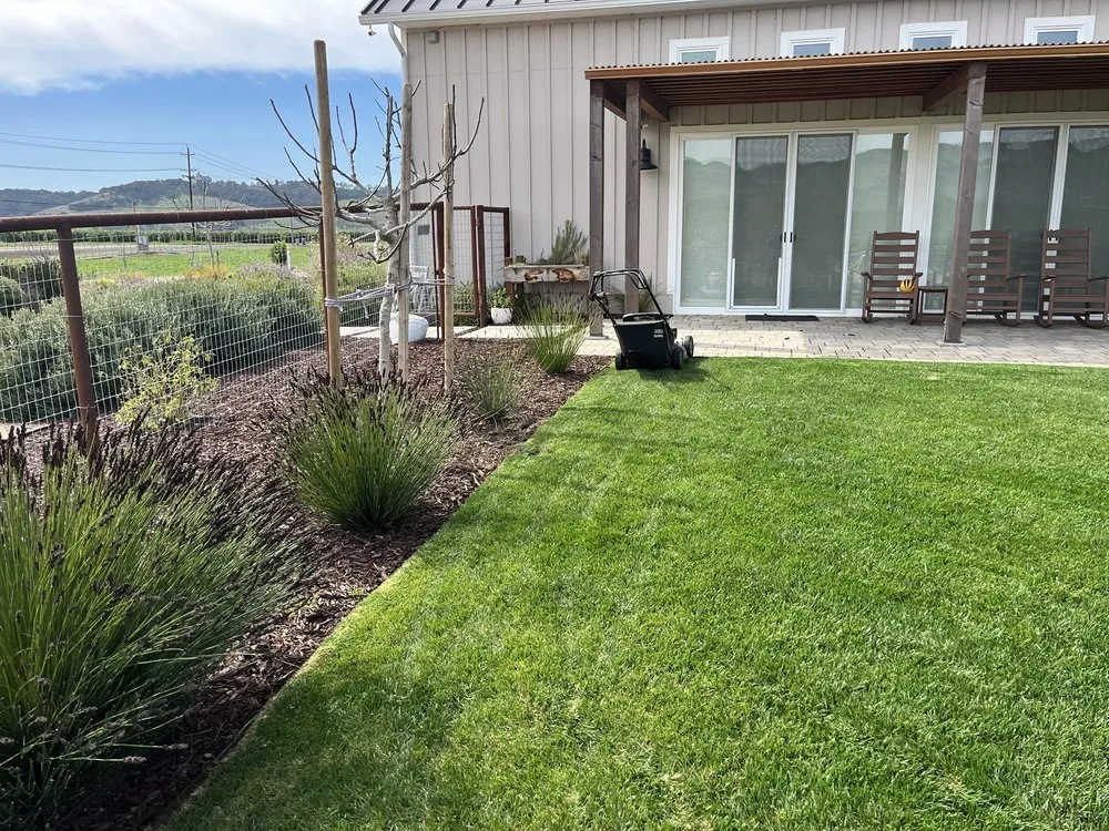 Expert yard cleanup service for residential properties across Arroyo Grande, CA - Frakes-Scapes Landscaping
