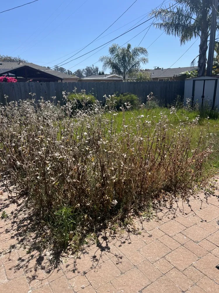 Trusted landscape installation in Arroyo Grande, CA - Frakes-Scapes Landscaping