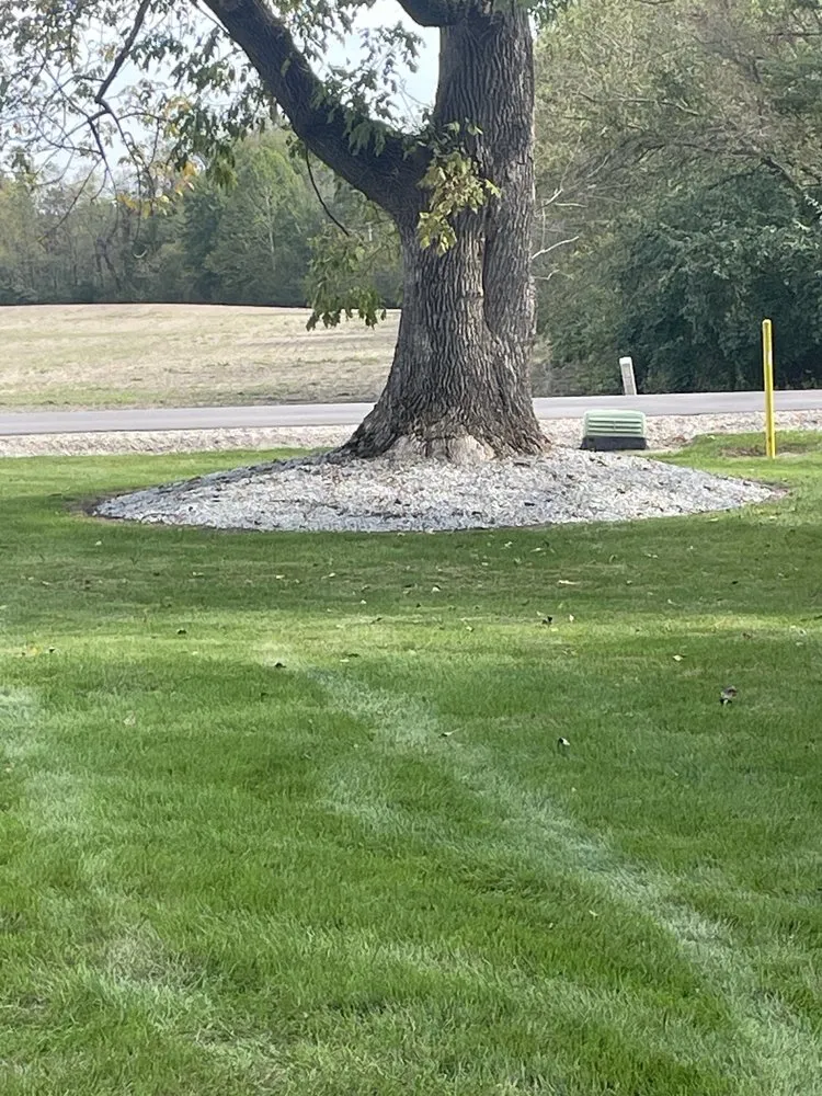 Professional landscaping services for beautiful yards in Greenfield, IN by Fralich's Landscape