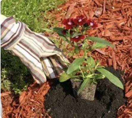 Local residential landscaping in Greenfield, IN - Fralich's Landscape