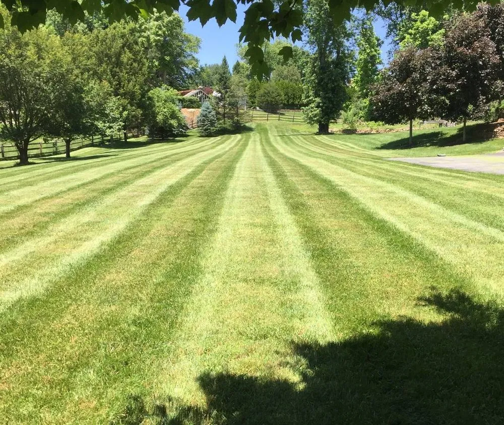 Top-rated yard cleanup service in Milford, MA - Fran Landscaping